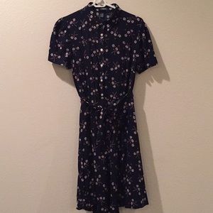 By chaps petite dress